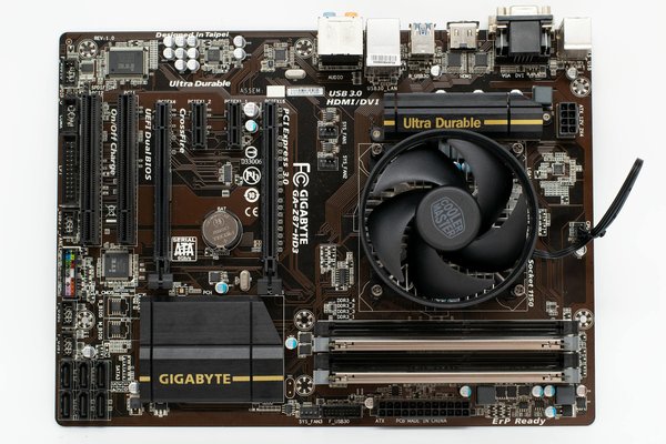 Freelance wordpress à orléans : expert local pour propulser votre site